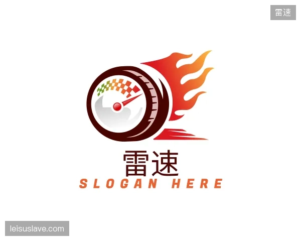 关于雷速公司